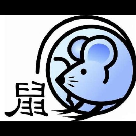 屬鼠的五行|屬鼠的五行 屬鼠五行財運，生肖鼠五行運勢如何？